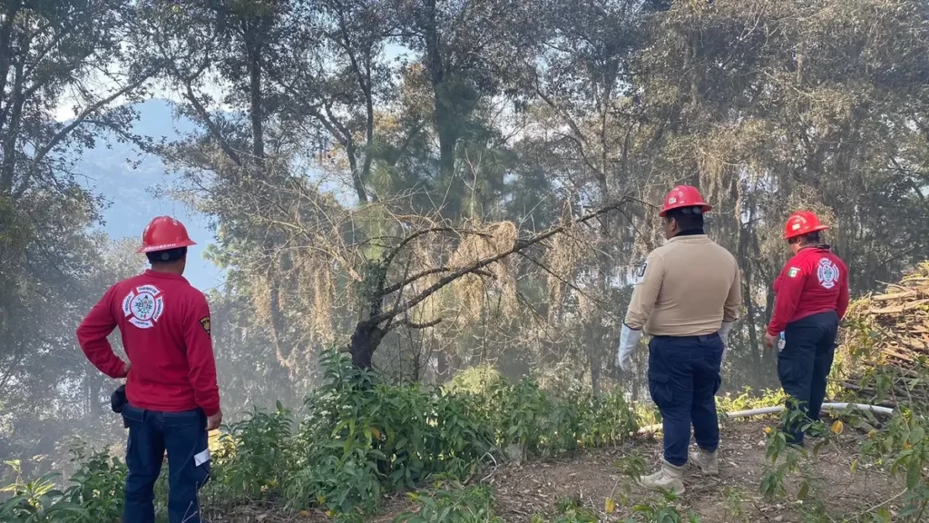 Autoridades atienden incendio en localidad de Zacatlán