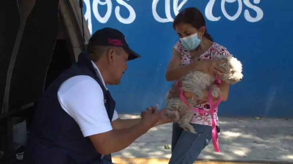 Existen dosis disponibles para perros y gatos en las jornadas y en los cuatro puntos con módulos de atención fijos.