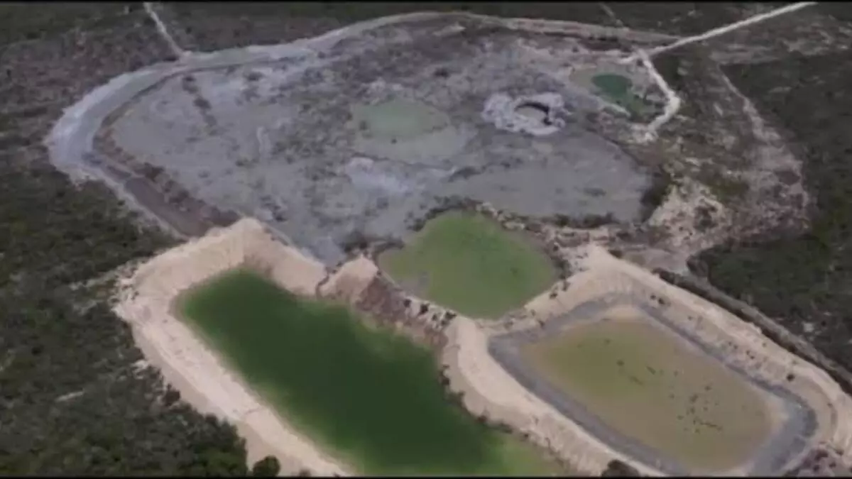 PEMEX aclara información respecto a desastre en la flora y fauna, trabajadores lo desmienten.