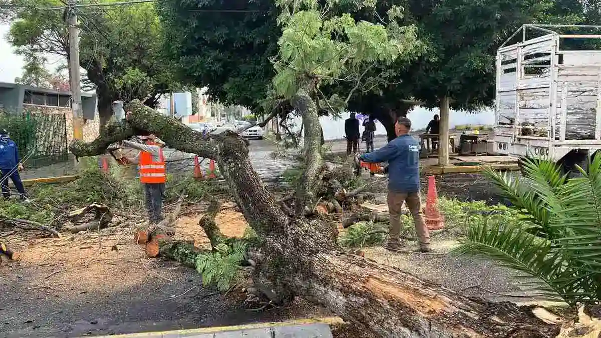 Ayuntamiento de Puebla atiende reportes por lluvia