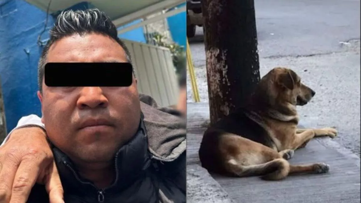 Agresor de perrito sumergido en aceite hirviente es detenido en el EDOMEX