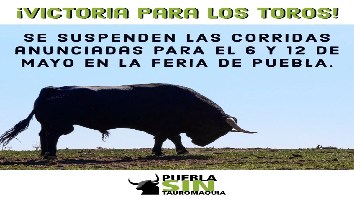 ¡No habrá toros en la Feria de Puebla!