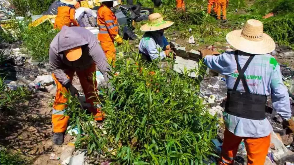 Operador de Limpieza interviene Barranca Acoco-Alseseca