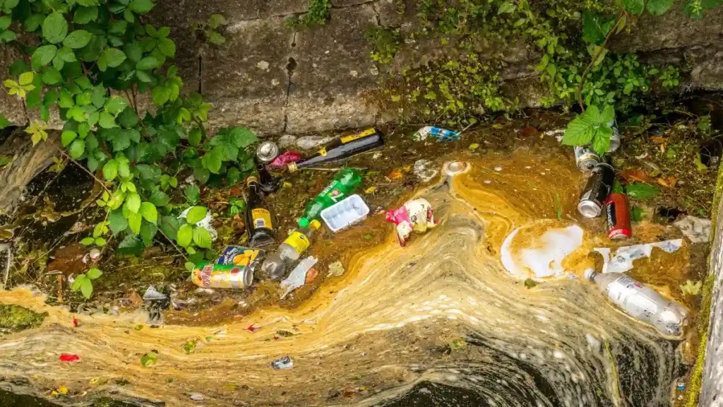 Combatir la contaminación ambiental es tarea de todos