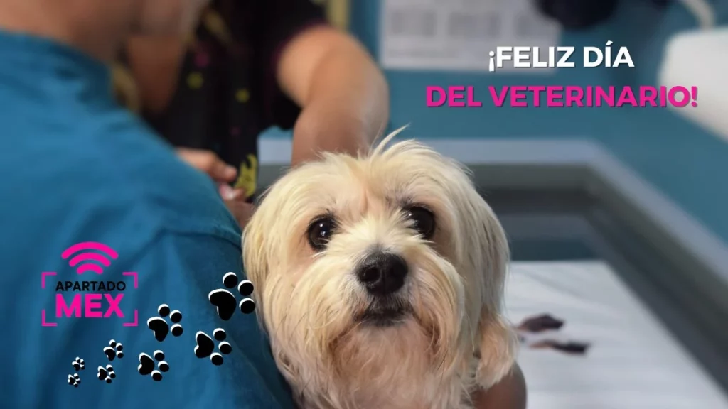 Feliz día del veterinario