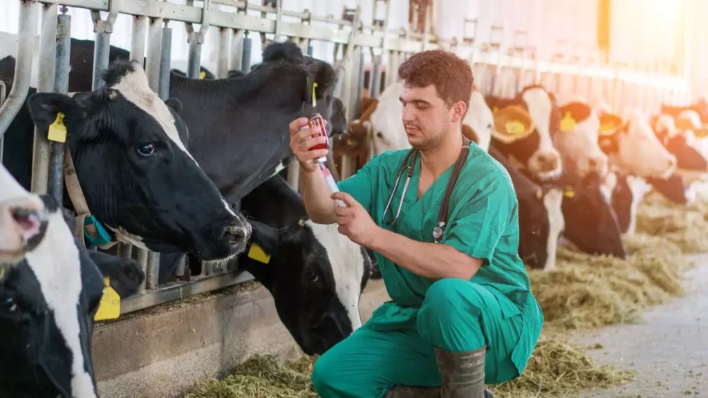 ¡Feliz día del veterinario a todos!