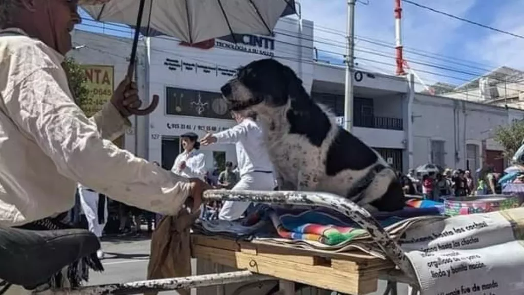 Fallece el poeta urbano Don Carolino, dejando un pesar en su perrito pinto