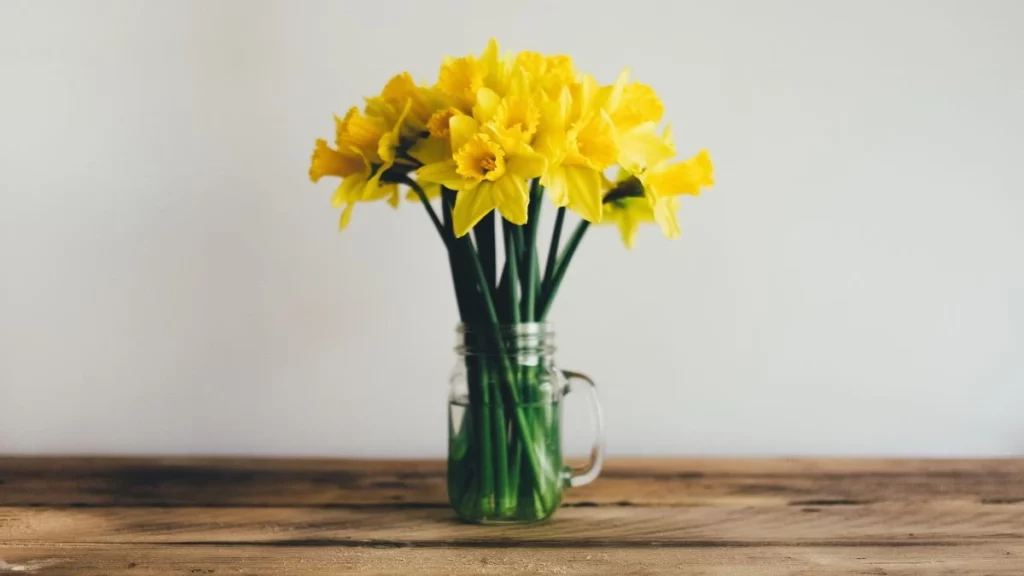 Sabes por qué regalamos flores amarillas el 21 de septiembre