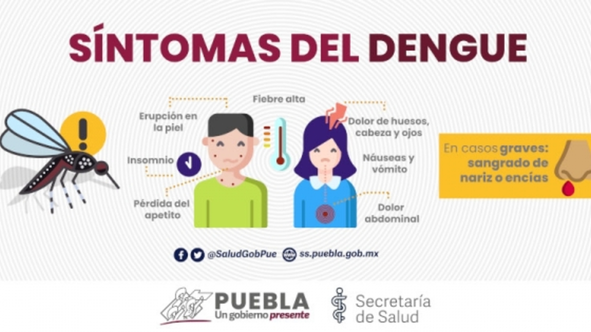 Últimas 24 horas sin defunciones ni hospitalizaciones por dengue y 5 casos nuevos de COVID-19 en la entidad poblana.