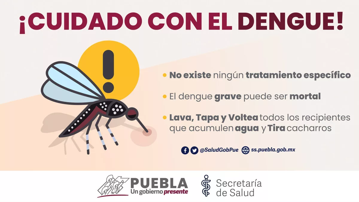 40 nuevos casos de dengue en Puebla son reportados