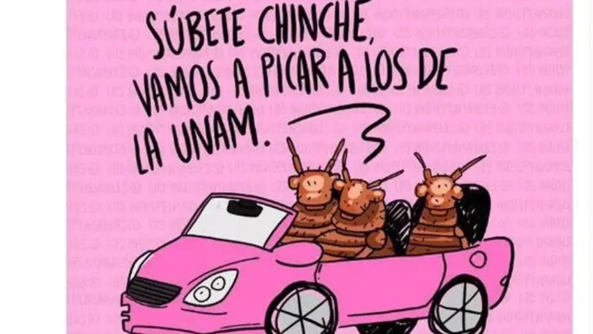 Los Mejores Memes De Las Chinches De La Unam Apartado Mex 5079