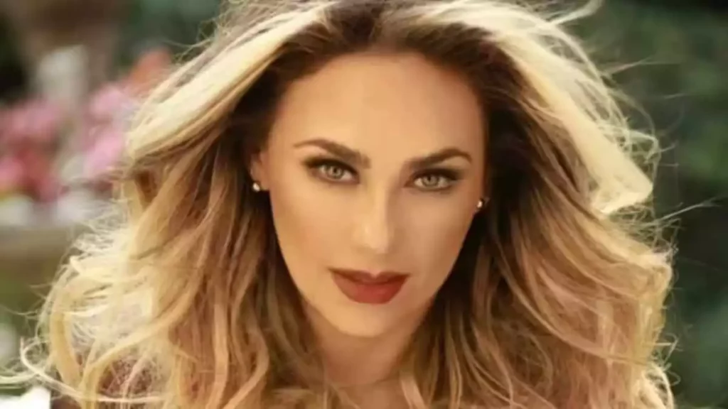 Aracely Arámbula demanda a Luis Miguel por incumplimiento de pensión alimenticia