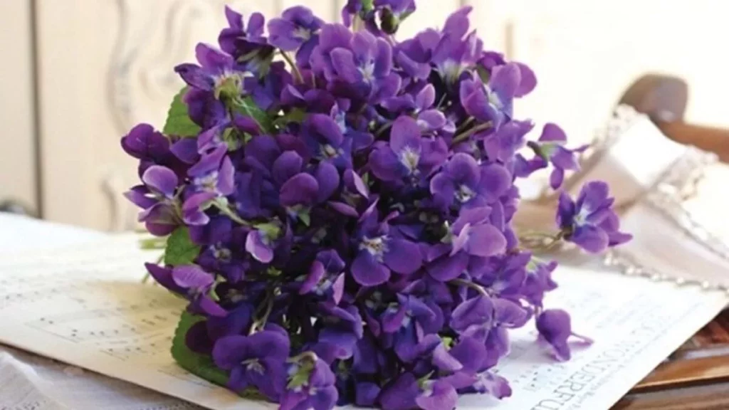 El 9 de noviembre se regalan flores moradas ¿Sabes por qué?