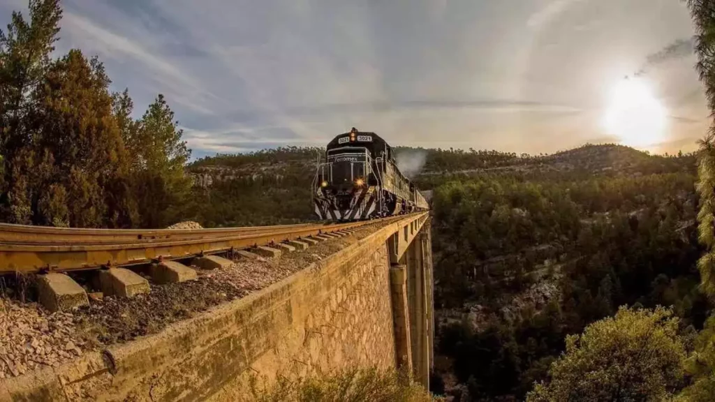 Gobierno Federal anuncia 7 nuevas rutas de trenes para pasajeros