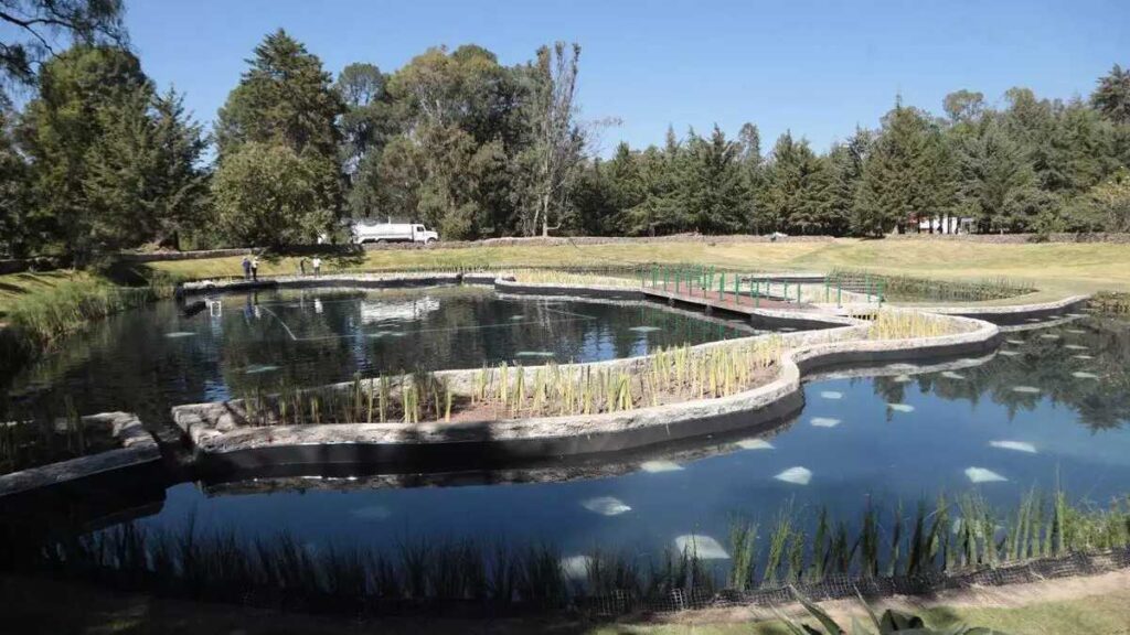 Ayuntamiento de Puebla concluye primera etapa del Bosque del Ajolote