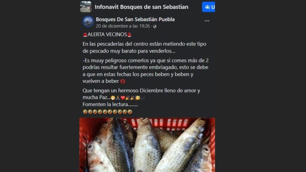 ¡Atrévete a probarlo! El exótico pescado que Puebla no puede resistir