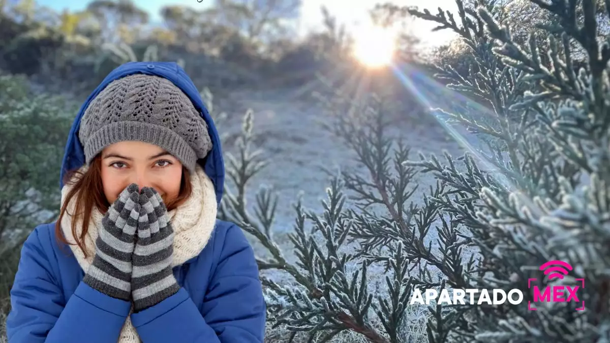 Hoy inicia el solsticio de invierno