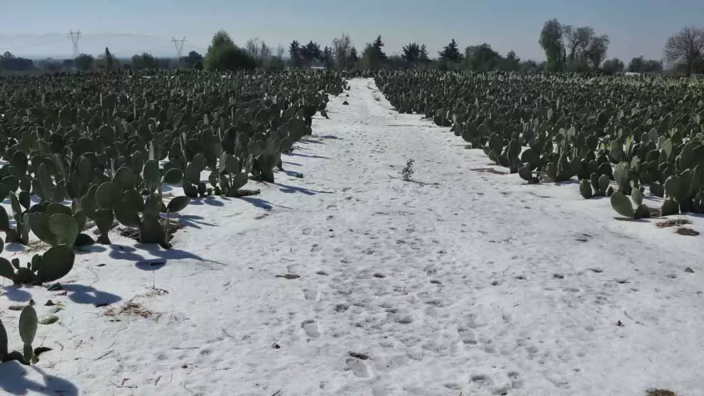 Prepárate para la caída de nieve en Puebla esta noche