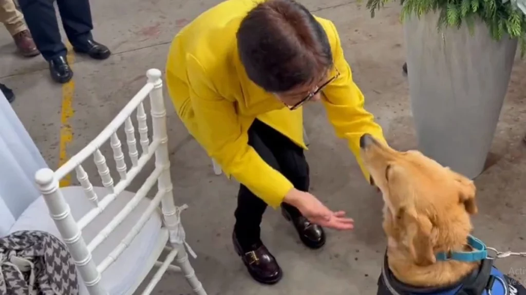 Prepara a tu mascota porque ya podrá acompañarte a clases en la BUAP