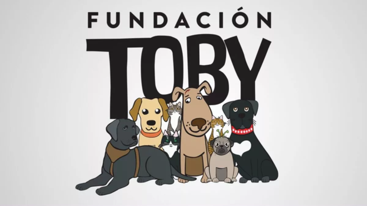 Sandra Cuevas asume costos de reparación para "Fundación Toby"