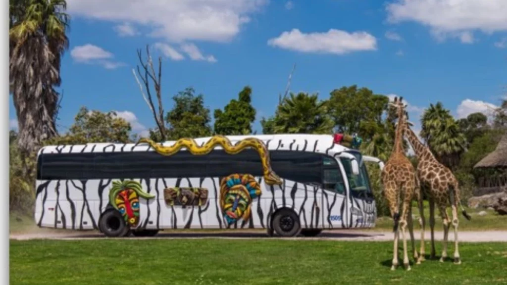 Visita los mejores parques de diversiones como Africam Safari con Estrella Roja