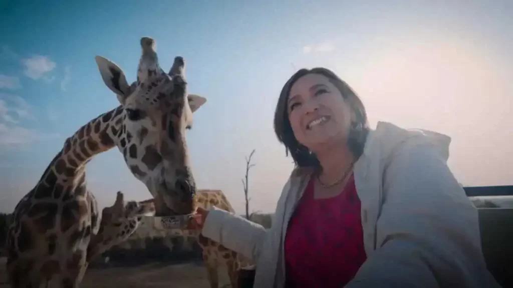 Xóchitl Gálvez ya visitó a la Jirafa Benito en Africam Safari