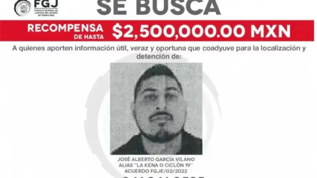 Detienen "La Kena" del Cártel Del Golfo y otros líderes del narco