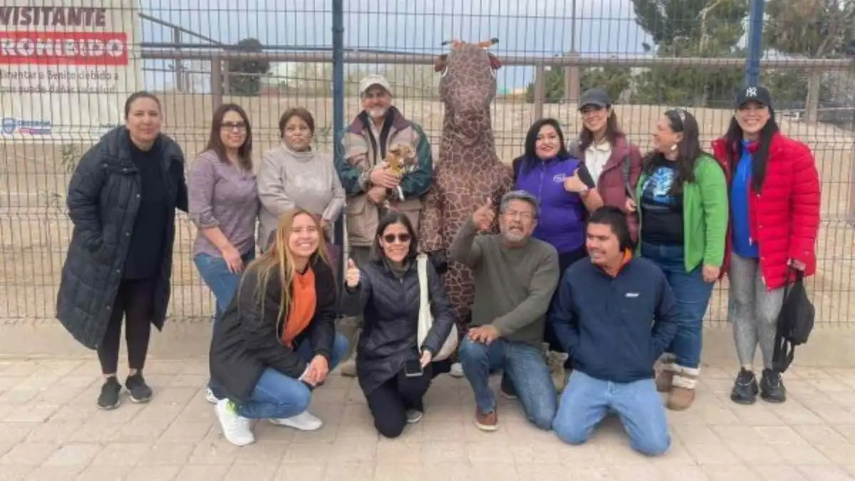 La jirafa Benito ya se despidió de Chihuahua y viene camino a Puebla