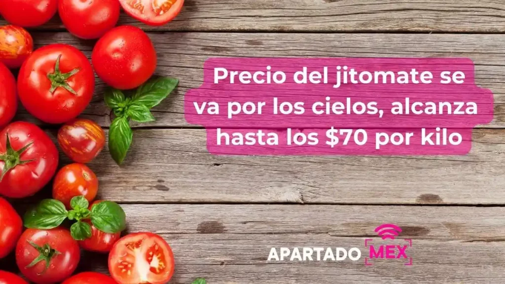 Precio del jitomate se va al cielo