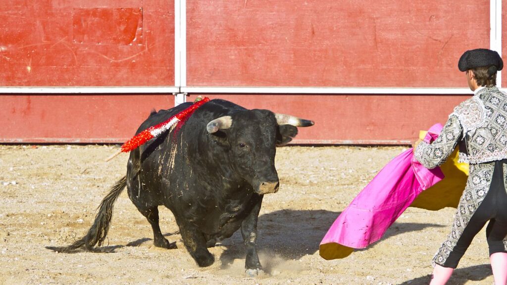 Adiós a las corridas de toros en Puebla