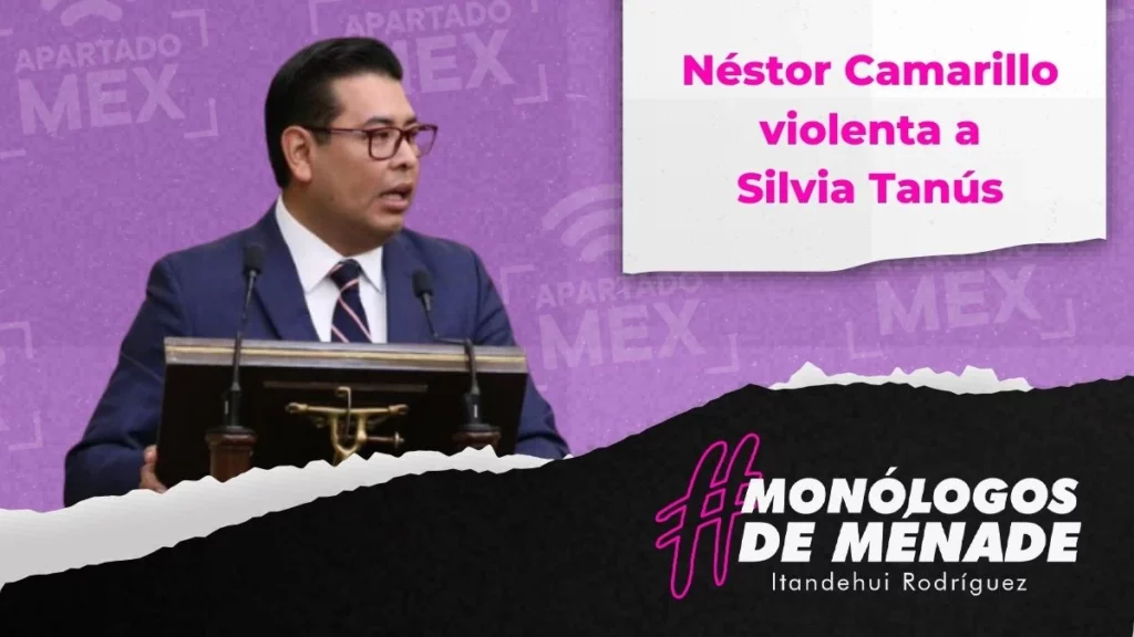 Néstor Camarillo violenta a Silvia Tanús