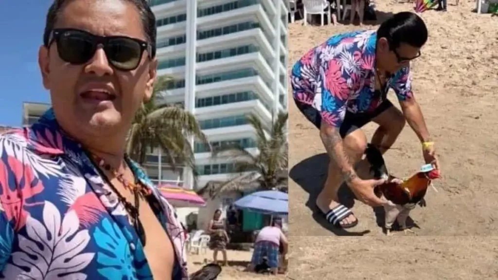 ¿Llevarías a tu gallo a la playa? Este chico sí lo hizo