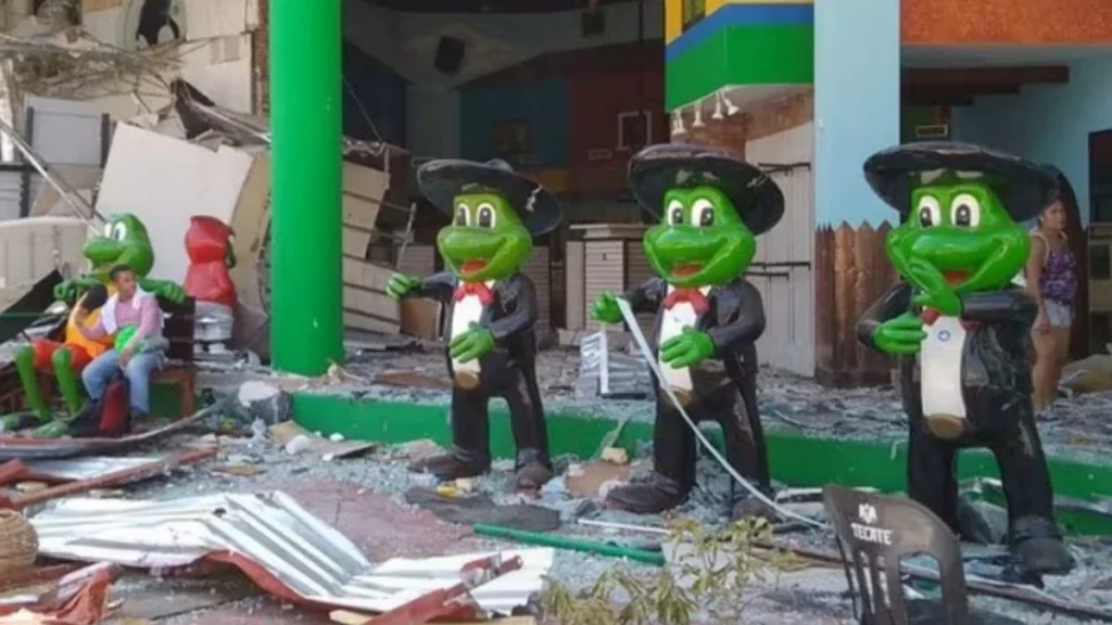 Ranas mariachis del Sr. Frogs andaban de parranda