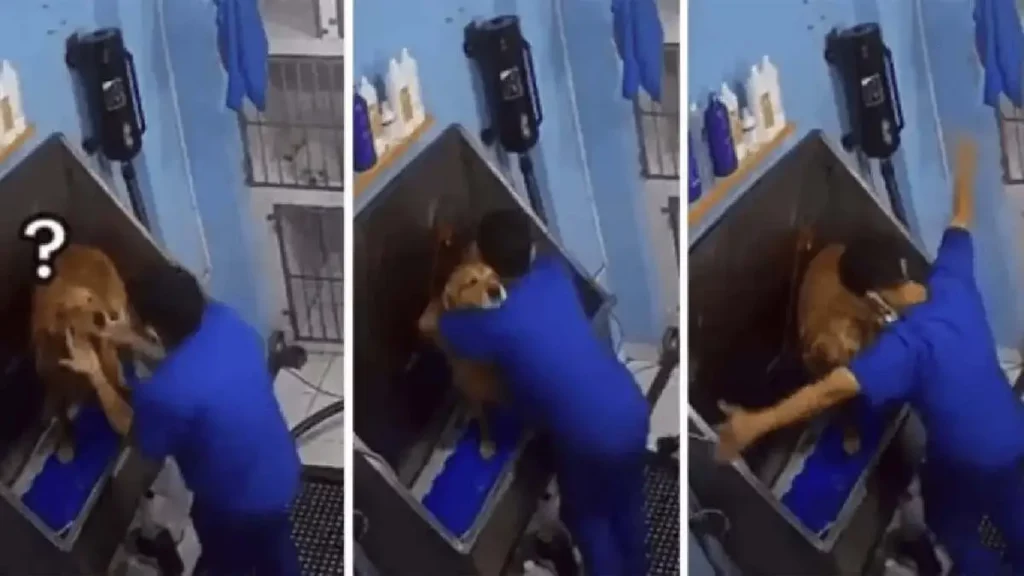 Joven derrite las redes mientras baña a un perro