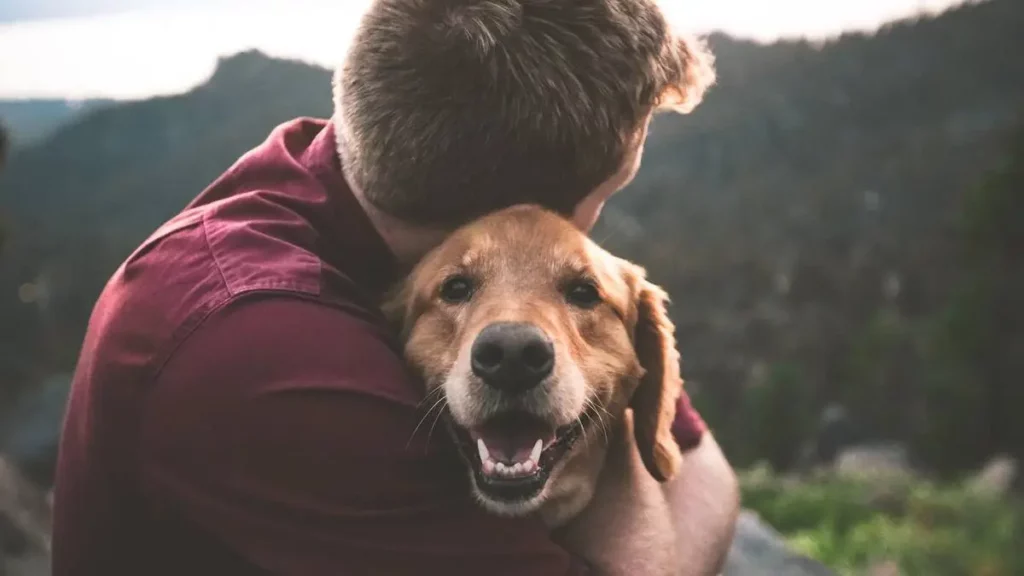 Hoy es el Día del Perro: ¡Ve por qué tener uno transforma tu vida!