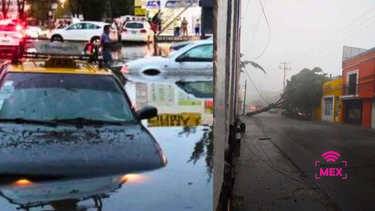 Lluvias causan estragos en Puebla: inundaciones y árboles caídos