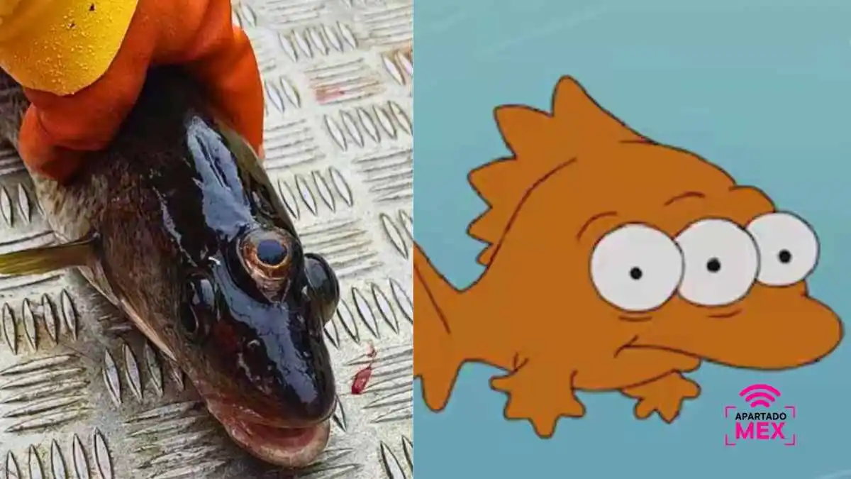 Pez de tres ojos como el de los Simpson aparece en Groenlandia