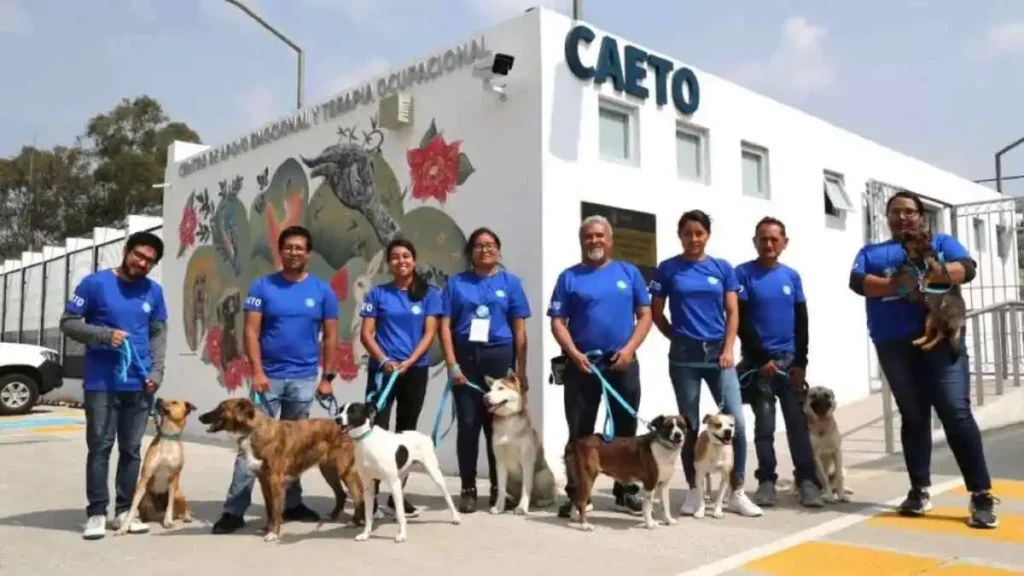 Coterapeutas caninos, un respiro emocional para la comunidad BUAP