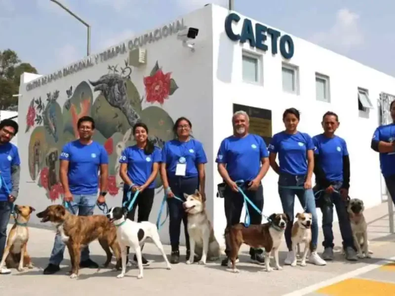 ¿Sabías que la BUAP tiene perritos de apoyo emocional?