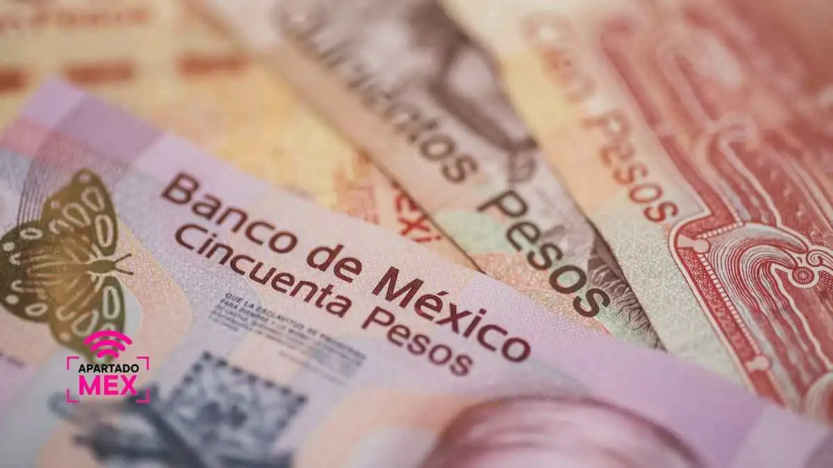 ¿El peso pierde terreno frente al dólar este 19 de agosto de 2024?