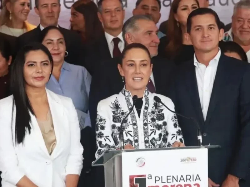 Morena y su otra mayoría calificada