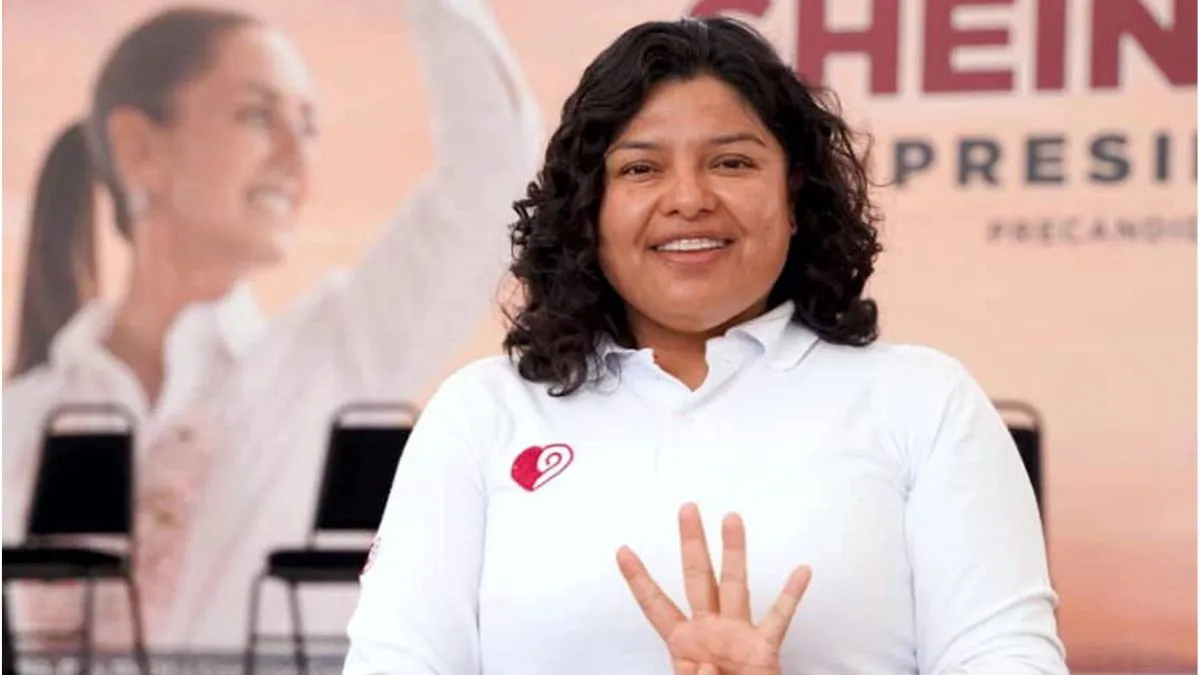 ¿Quién es Karina Pérez Popoca? Diputada federal en el Distrito 10