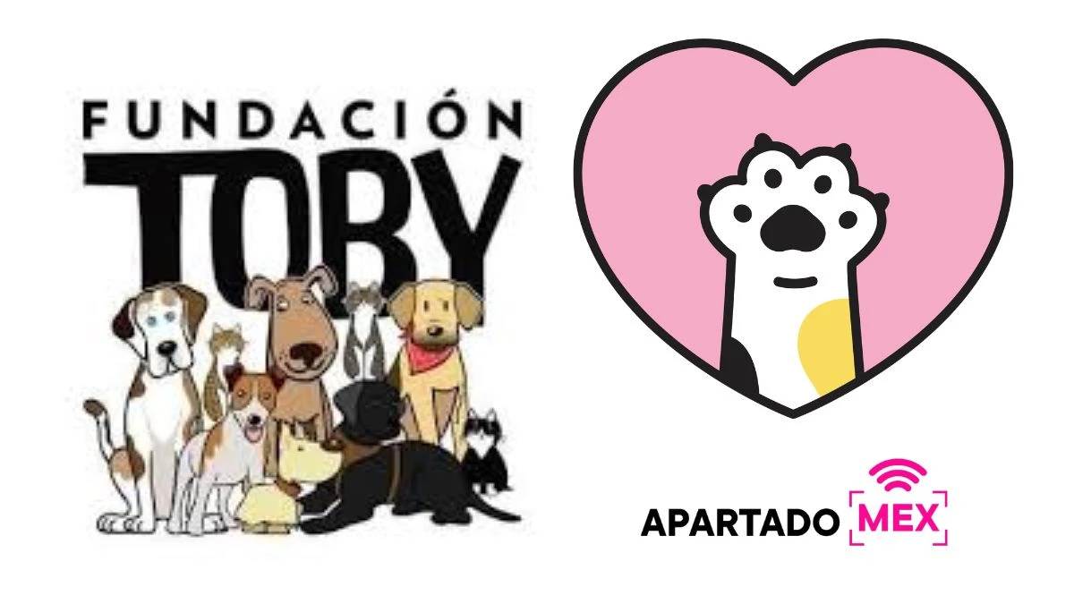 Fundación Toby tiene que pagar gran deuda por salvar a peluditos