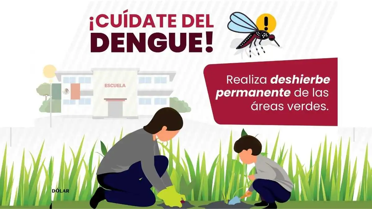 Suma Puebla 2 mil 656 casos de dengue en 2024