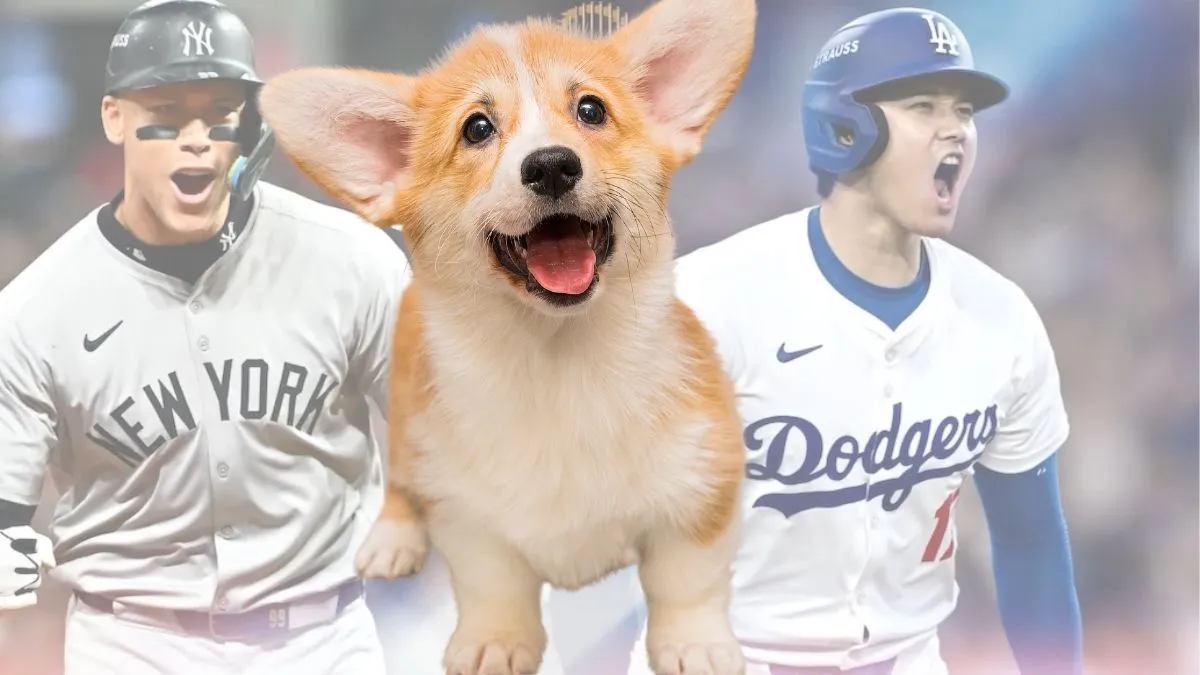 Perro predice quién ganará la Serie Mundial