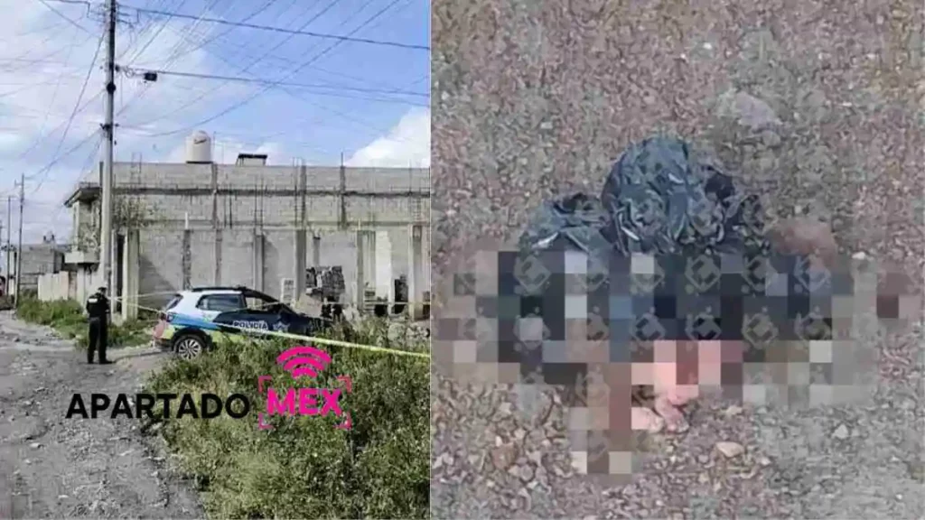 Encuentran bebé muerto y semi enterrado en La Resurrección