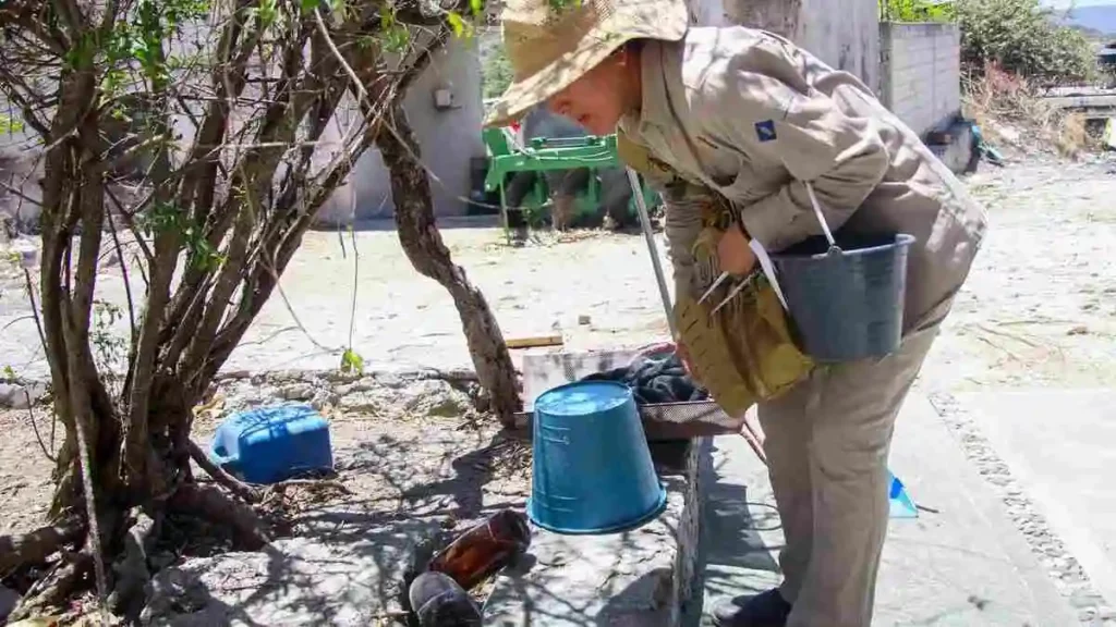 80 municipios de Puebla registraron casos de dengue en 2024