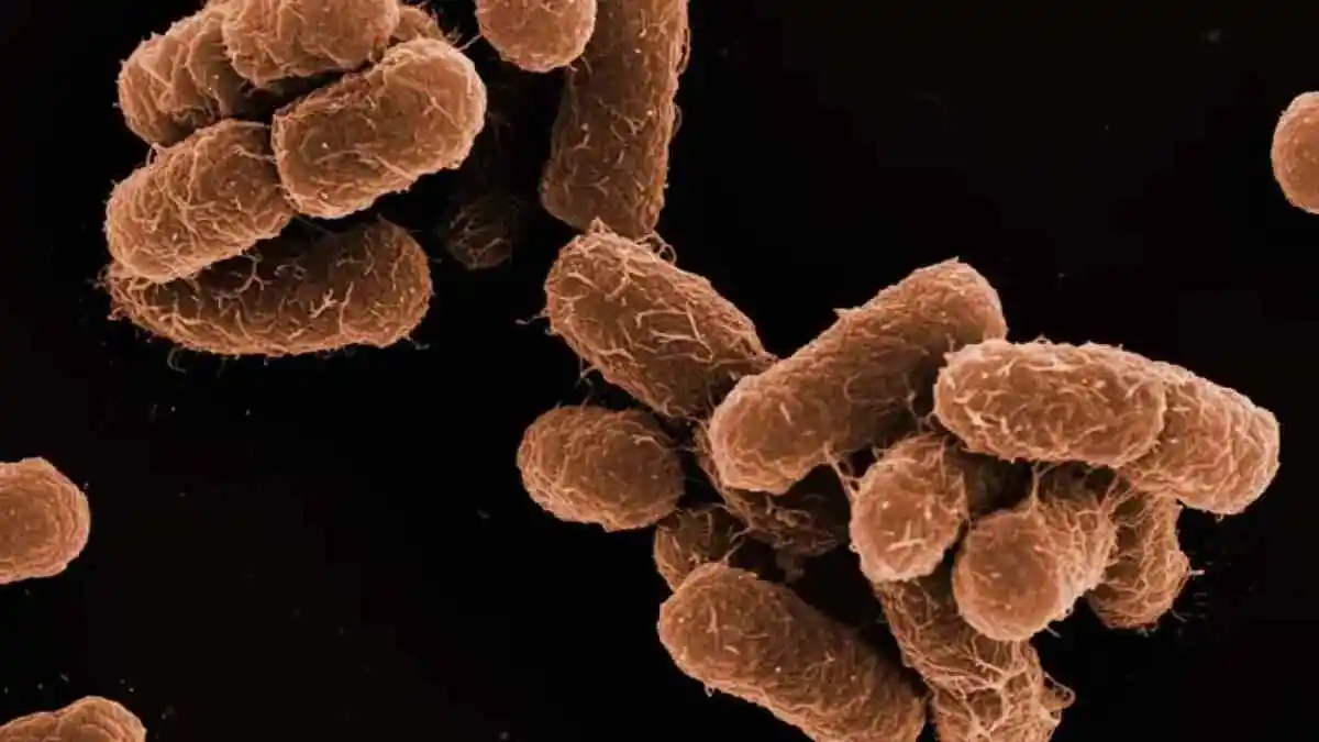 Brote de Klebsiella oxytoca desata alerta en hospitales de México