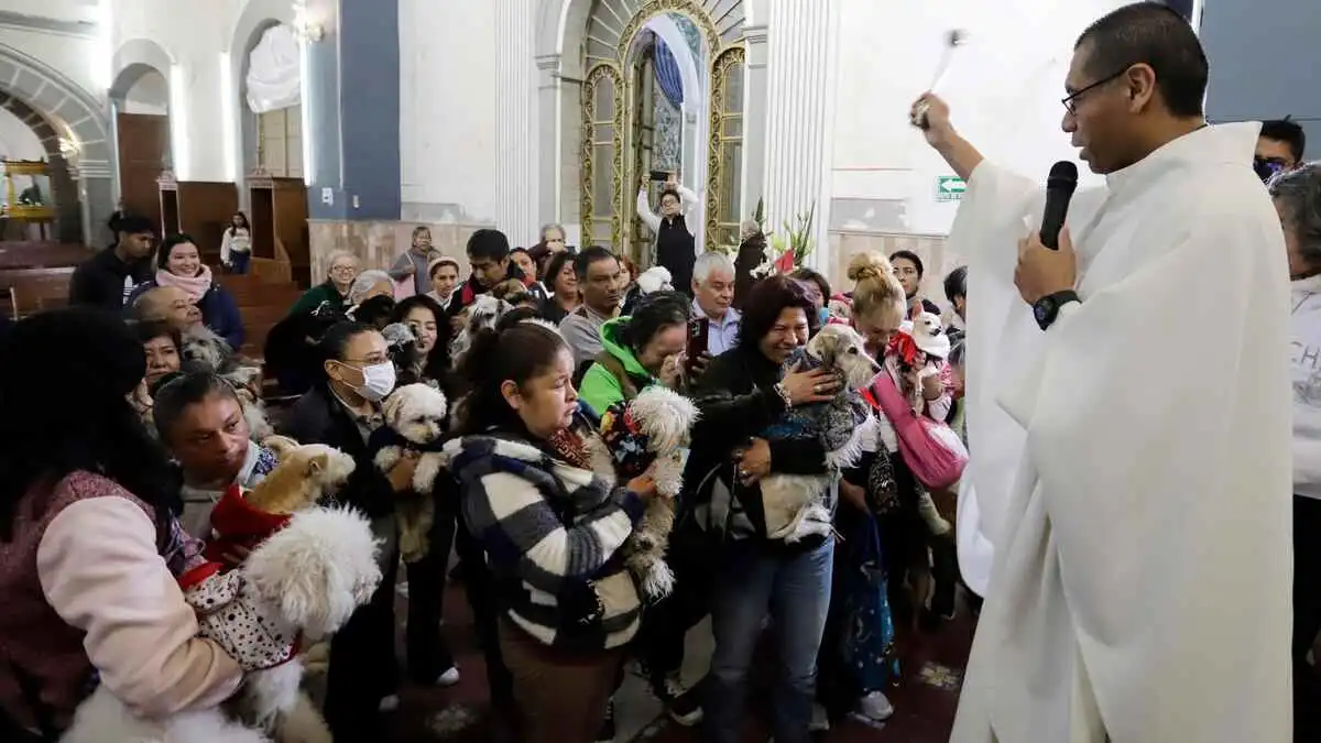 Hoy habrá bendición de mascotas en Puebla por el día de San Antonio Abad