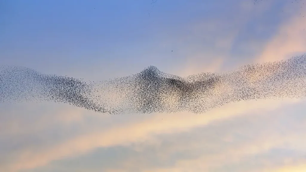 El Misterioso 'Canto de Pájaros' descubierto en el espacio ¿qué es realmente?